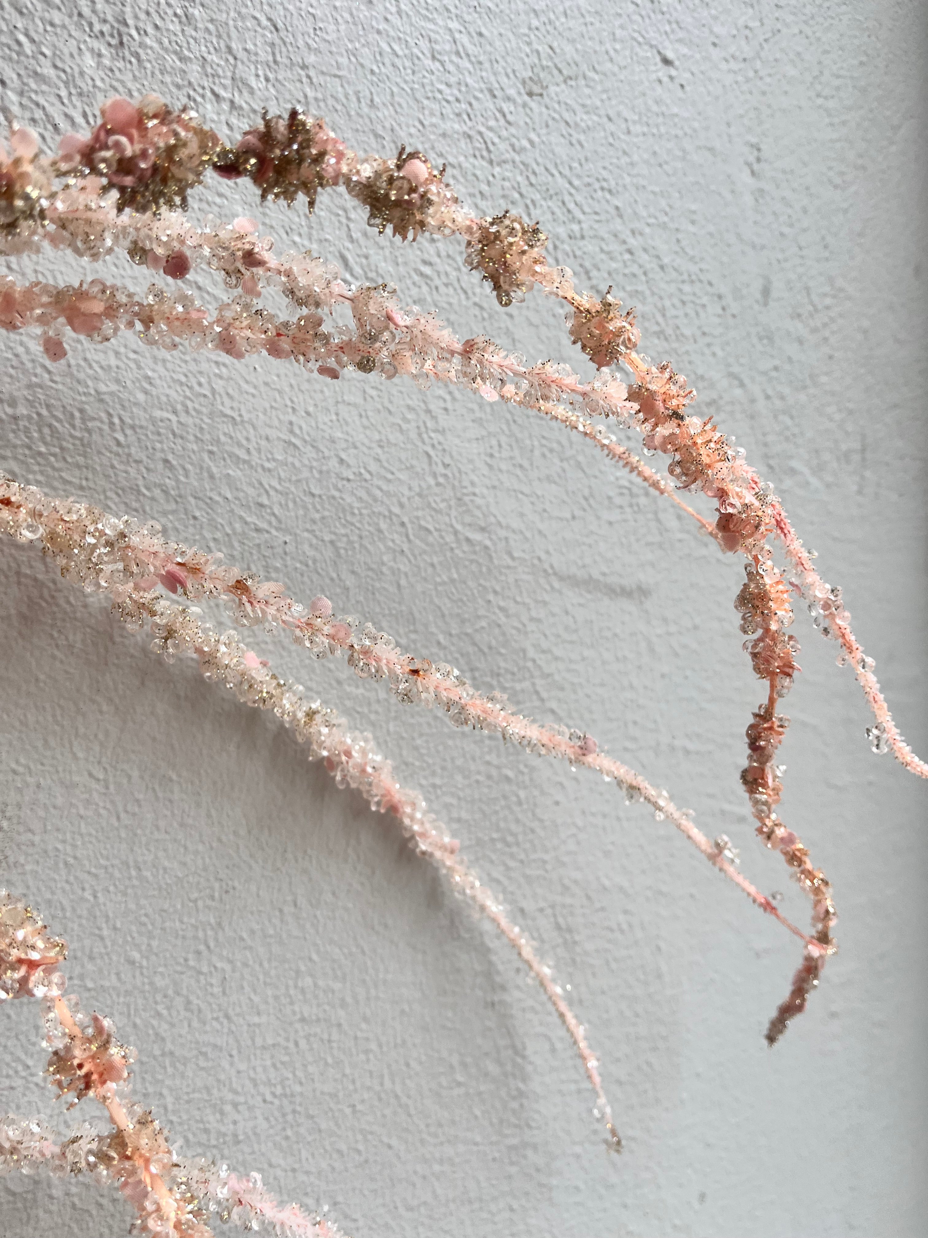 Blomst • Hængende Rævehale • Amaranth • Rosa