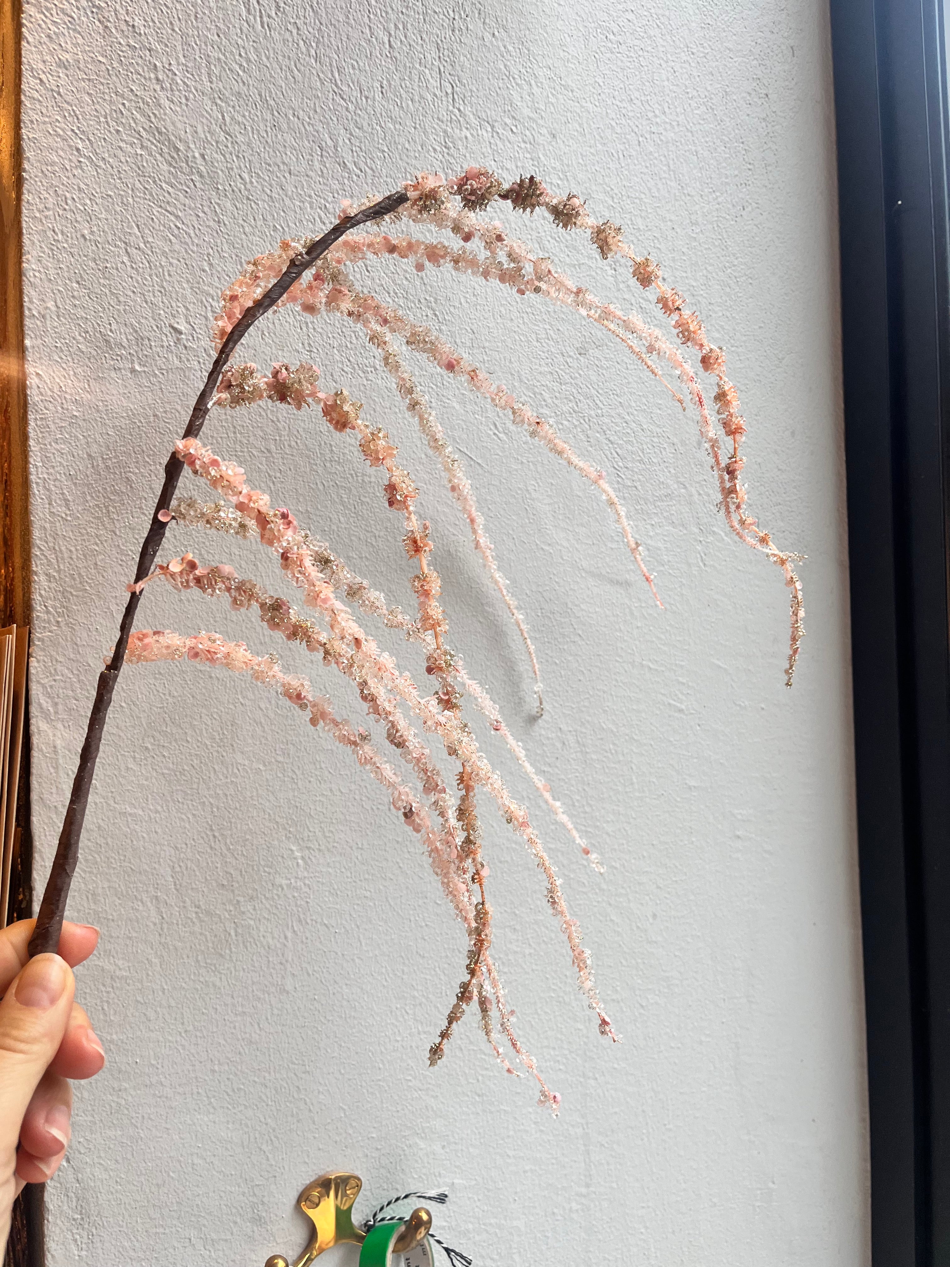 Blomst • Hængende Rævehale • Amaranth • Rosa - Image 2