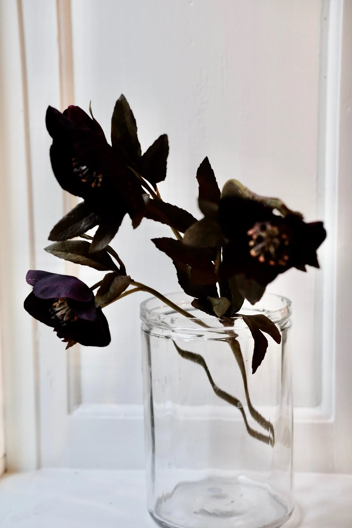 Blomst • Påskeklokke • Lilla - Image 2
