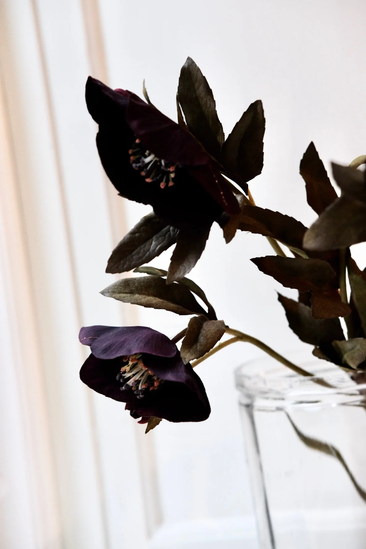 Blomst • Påskeklokke • Lilla - Image 3