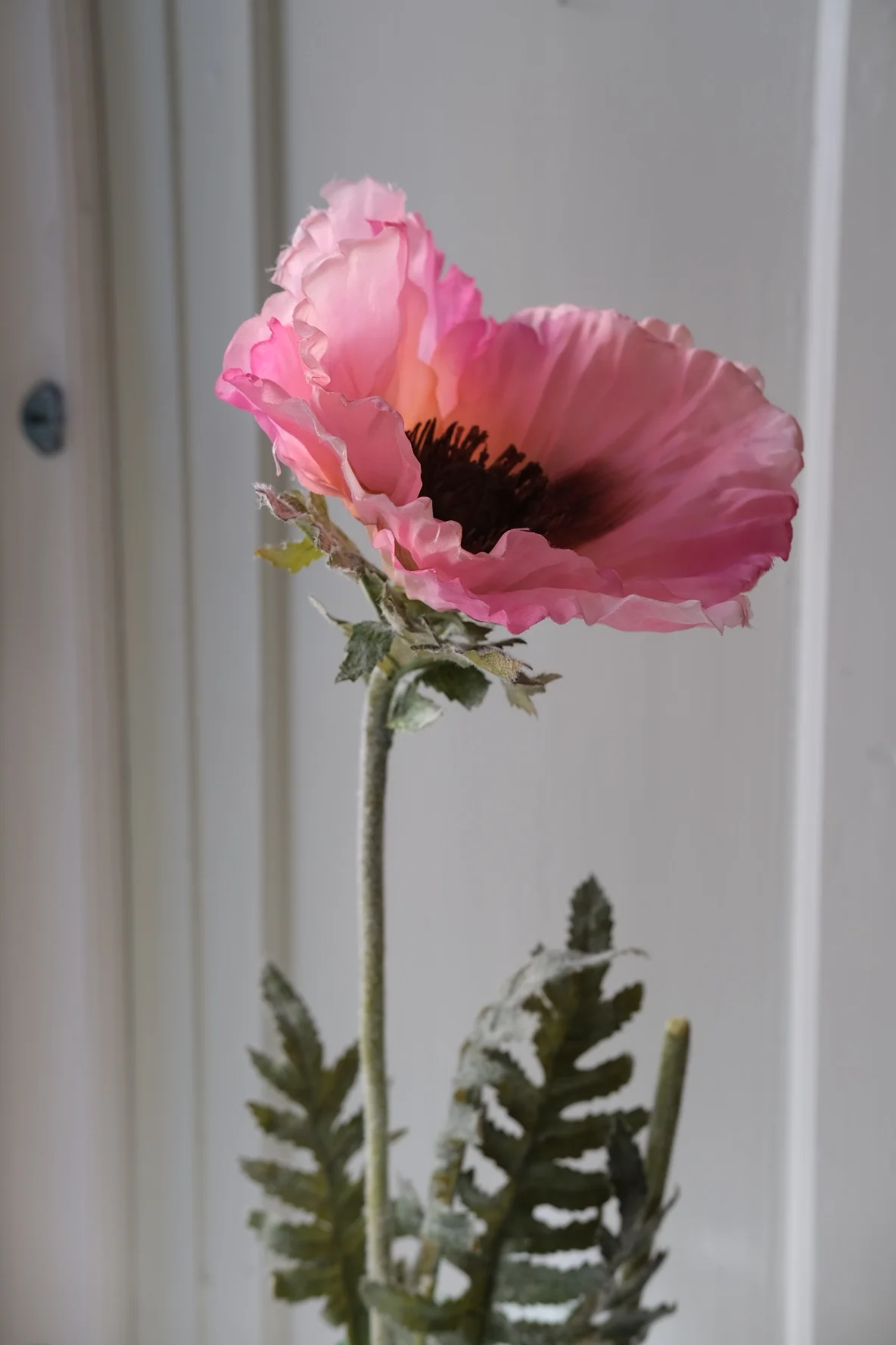 Blomst • Vamlue • Kæmpe • Pink - Image 3