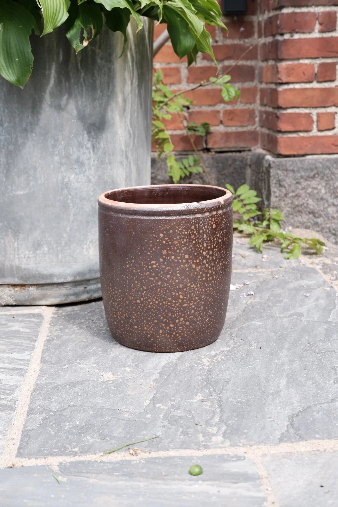 Miniaturebillede 1
